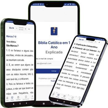 App Bíblia Explicada